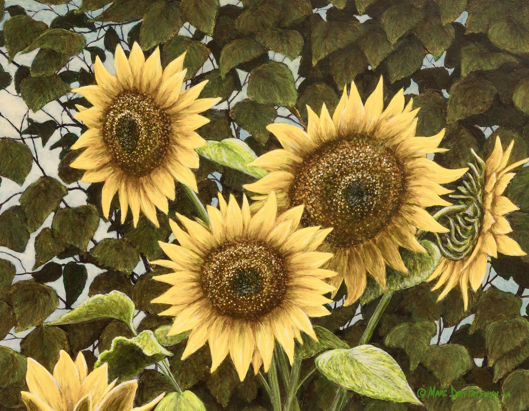 Summer quintet - Portrait artwork 2