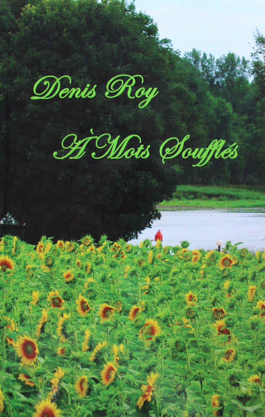 Achat en ligne livre Denis Roy